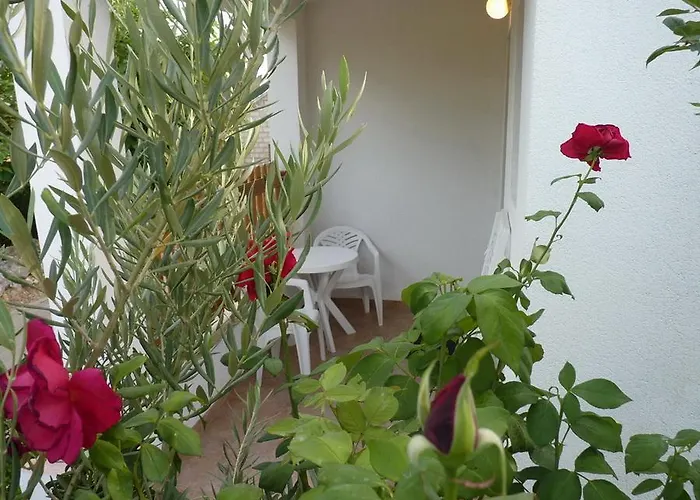 Emily アパート ニン